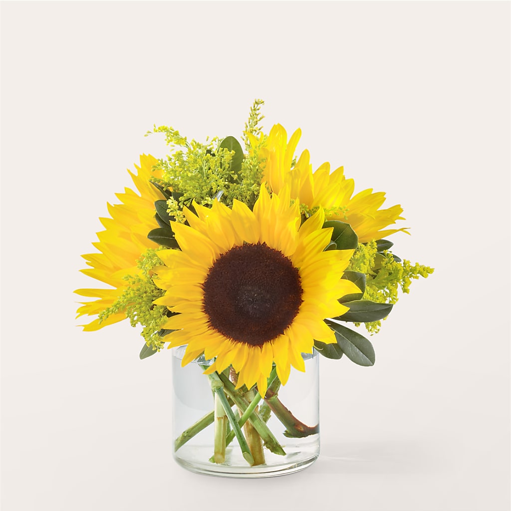 Beaming Sunflower Bouquet – PICKET FENCE FLORAL & DESIGN, Holland MI