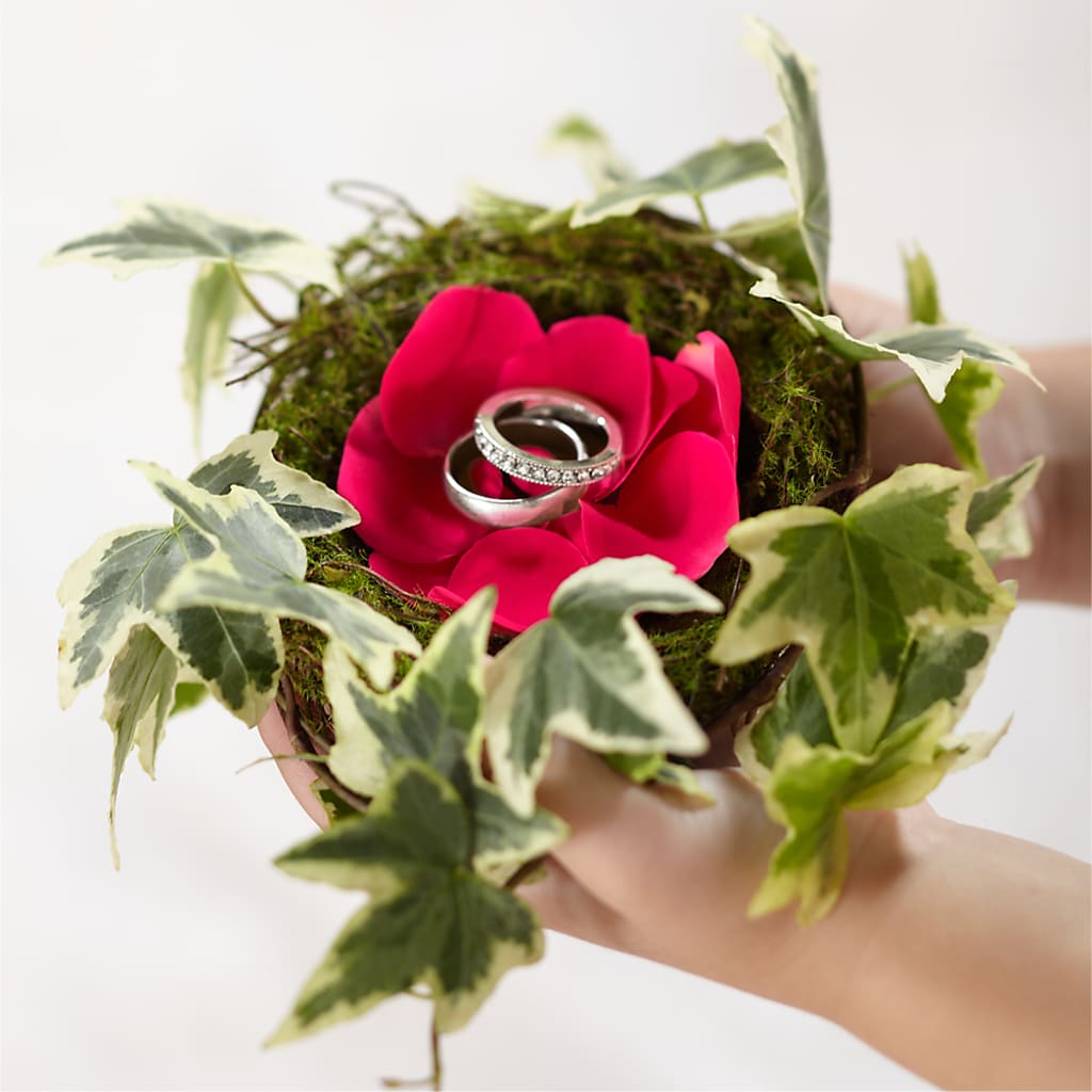 Lila Rose Ring Nest – PICKET FENCE FLORAL & DESIGN, Holland MI