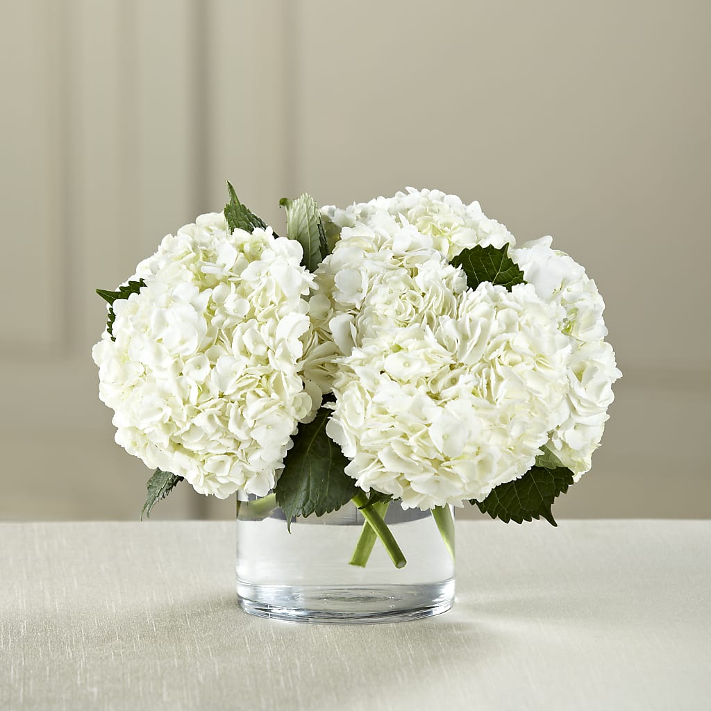 White Hydrangea Bouquet – PICKET FENCE FLORAL & DESIGN, Holland MI