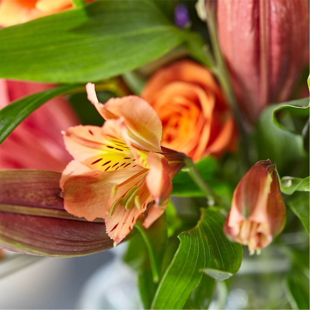Bold & Bright – A Florist Original – PICKET FENCE FLORAL & DESIGN, Holland MI