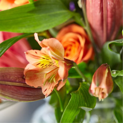 Bold & Bright – A Florist Original – PICKET FENCE FLORAL & DESIGN, Holland MI
