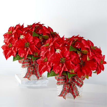 Happiest Holidays Poinsettia Bundle – PICKET FENCE FLORAL & DESIGN, Holland MI