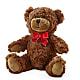 Adorable Plush Bear – PICKET FENCE FLORAL & DESIGN, Holland MI