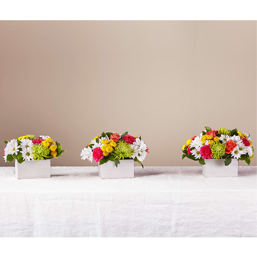 Sorbet Bouquet – PICKET FENCE FLORAL & DESIGN, Holland MI