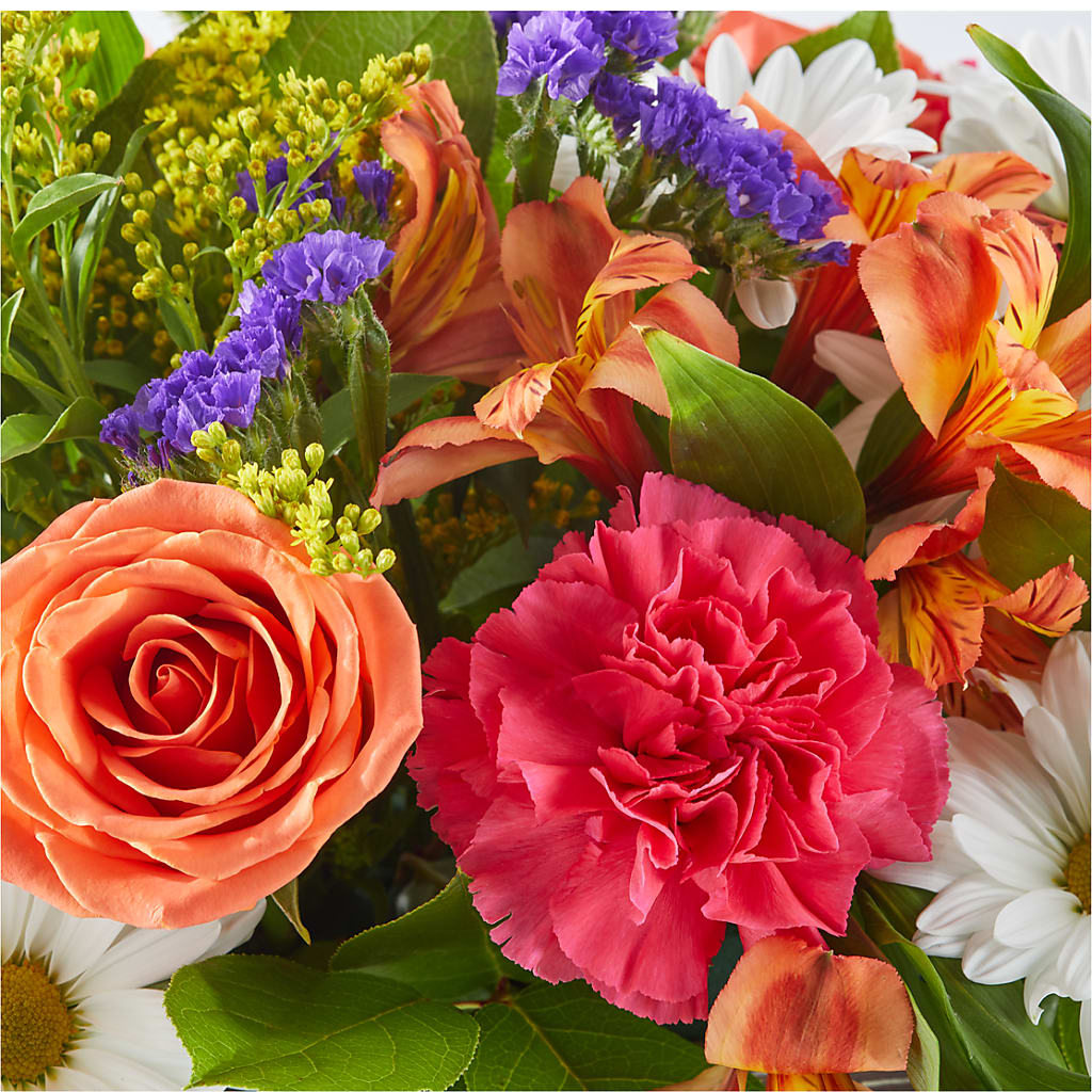 Oopsie Daisy Box Bouquet – PICKET FENCE FLORAL & DESIGN, Holland MI