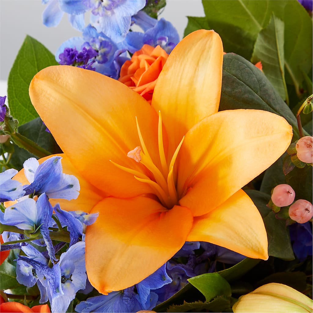 Radiant Citrus Box Bouquet – PICKET FENCE FLORAL & DESIGN, Holland MI