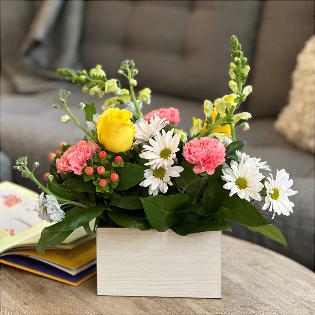 Sun Salutation Box Bouquet – PICKET FENCE FLORAL & DESIGN, Holland MI