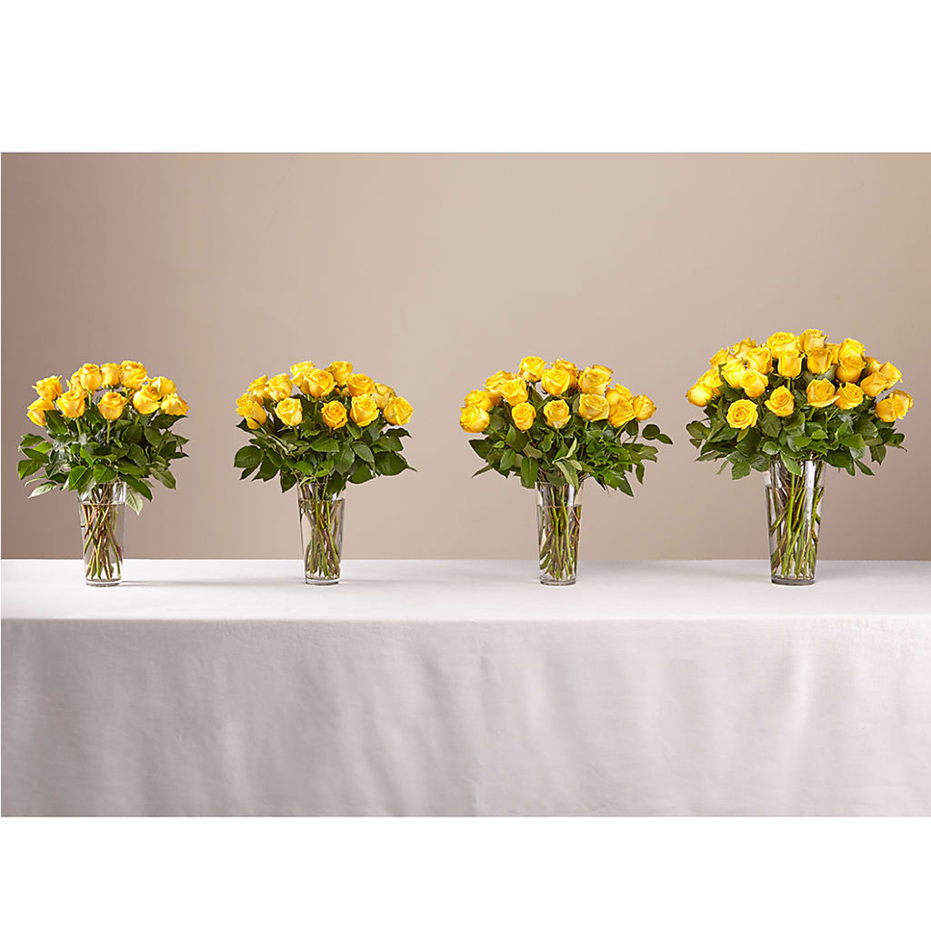Long Stem Yellow Rose Bouquet – PICKET FENCE FLORAL & DESIGN, Holland MI