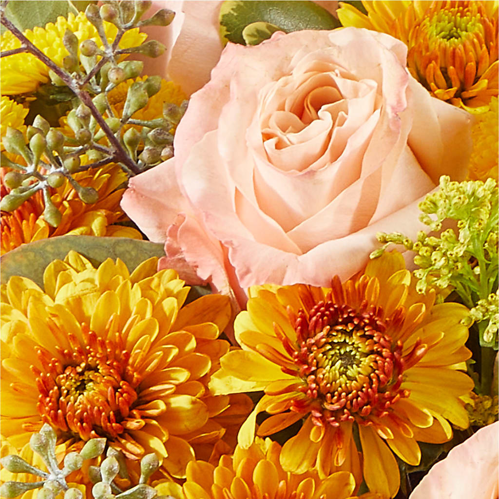 Peachy Pumpkin – PICKET FENCE FLORAL & DESIGN, Holland MI