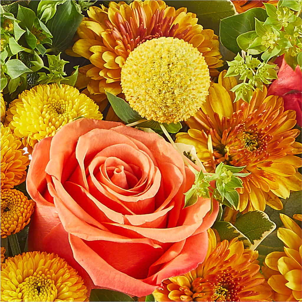 Gourdgeous Pumpkin – PICKET FENCE FLORAL & DESIGN, Holland MI