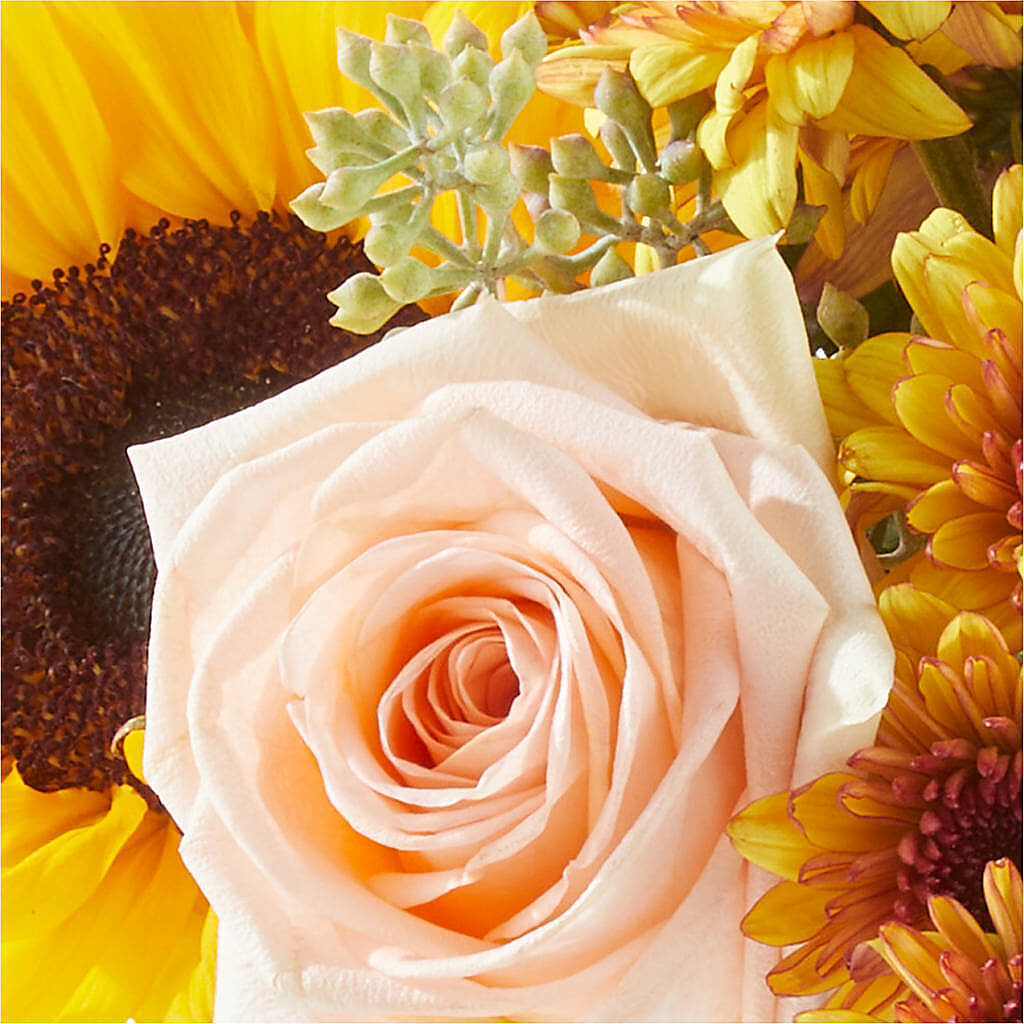 Pumpkin to Talk About Bouquet – PICKET FENCE FLORAL & DESIGN, Holland MI