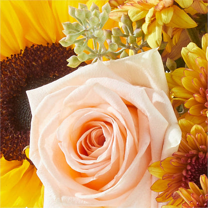 Pumpkin to Talk About Bouquet – PICKET FENCE FLORAL & DESIGN, Holland MI