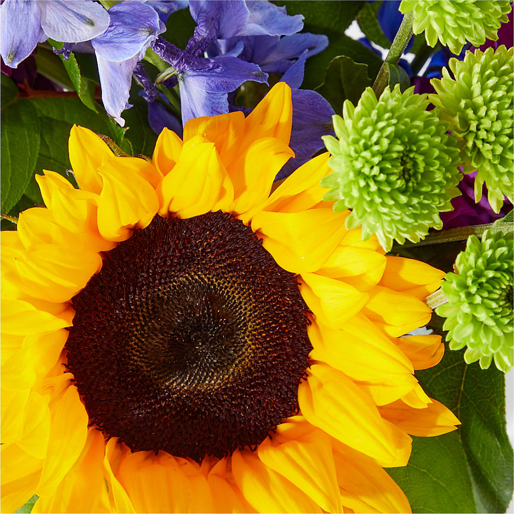 Catching Rays Bouquet – PICKET FENCE FLORAL & DESIGN, Holland MI