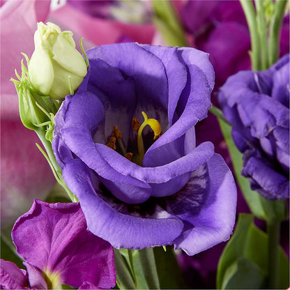 Twilight Glow Bouquet – PICKET FENCE FLORAL & DESIGN, Holland MI