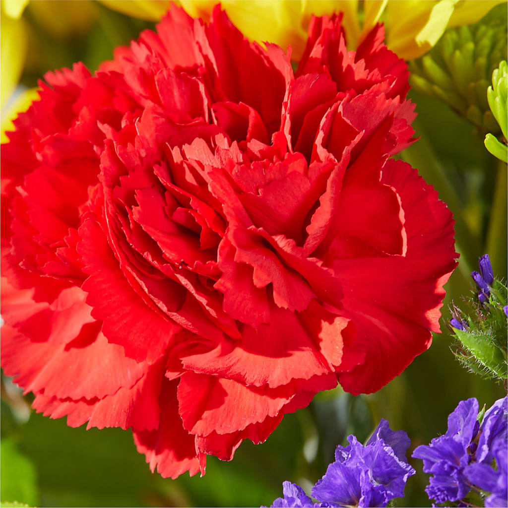 Brighter Days Bouquet – PICKET FENCE FLORAL & DESIGN, Holland MI