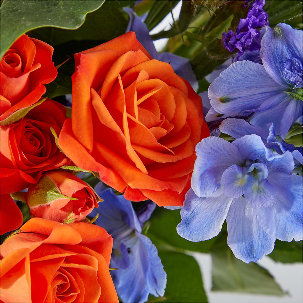 Radiant Citrus Bouquet – PICKET FENCE FLORAL & DESIGN, Holland MI