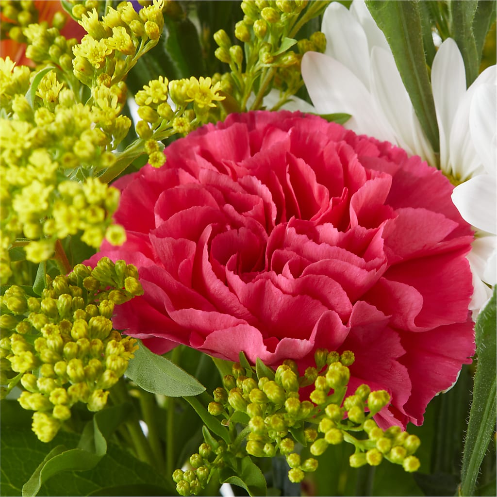 Oopsie Daisy Bouquet – PICKET FENCE FLORAL & DESIGN, Holland MI