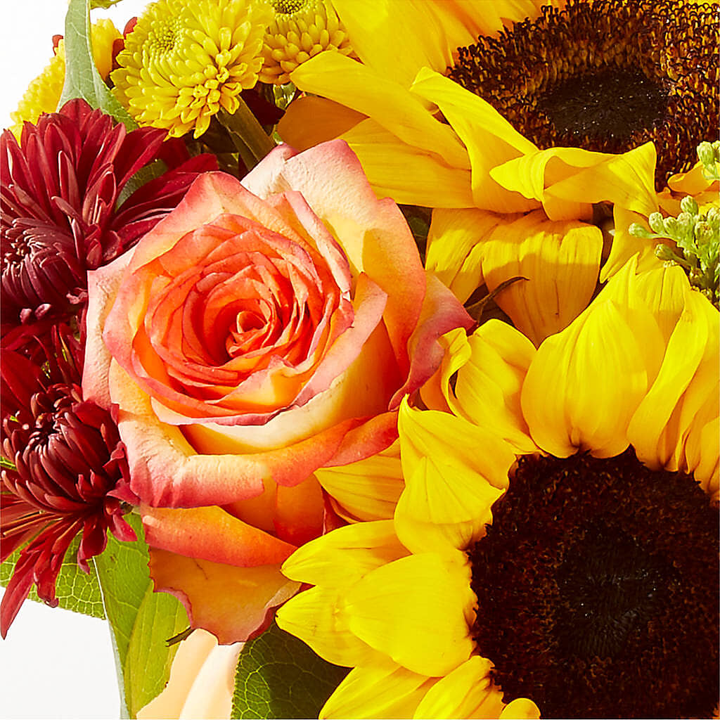 Golden Gourd Pumpkin Bouquet – PICKET FENCE FLORAL & DESIGN, Holland MI