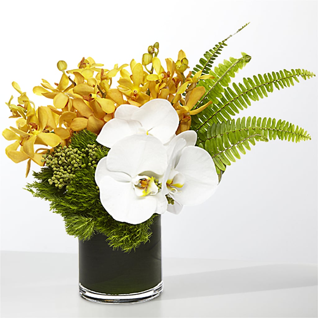 The Tropics – PICKET FENCE FLORAL & DESIGN, Holland MI