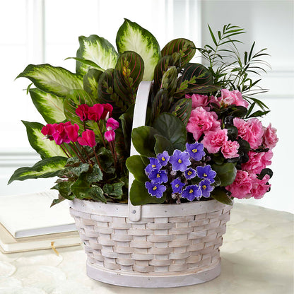 Peaceful Garden Planter – PICKET FENCE FLORAL & DESIGN, Holland MI