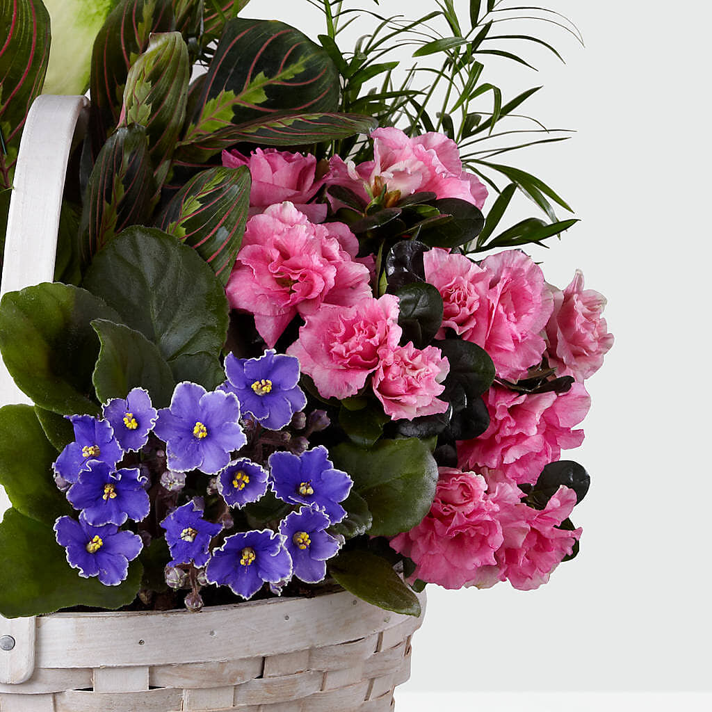 Peaceful Garden Planter – PICKET FENCE FLORAL & DESIGN, Holland MI