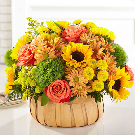 Harvest Sunflower Basket – PICKET FENCE FLORAL & DESIGN, Holland MI