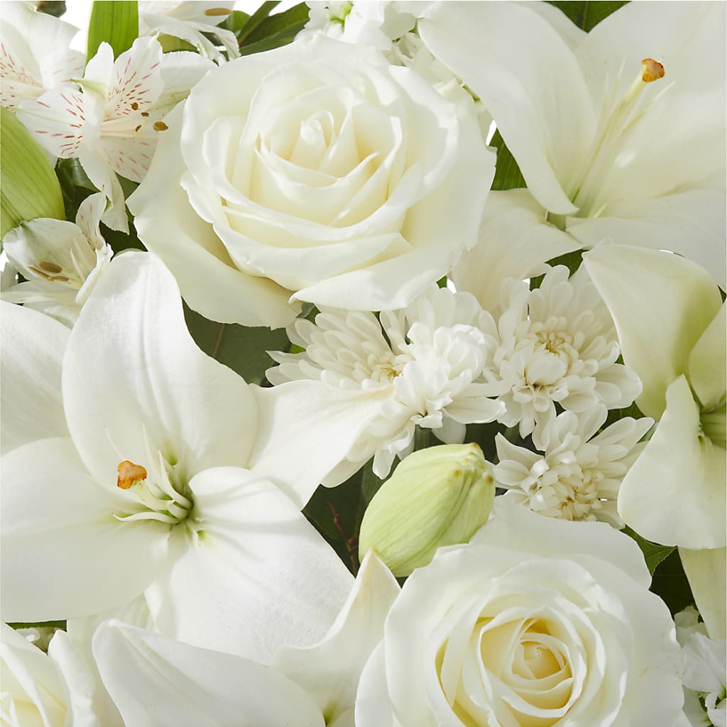 Peaceful Reflections Arrangement – PICKET FENCE FLORAL & DESIGN, Holland MI