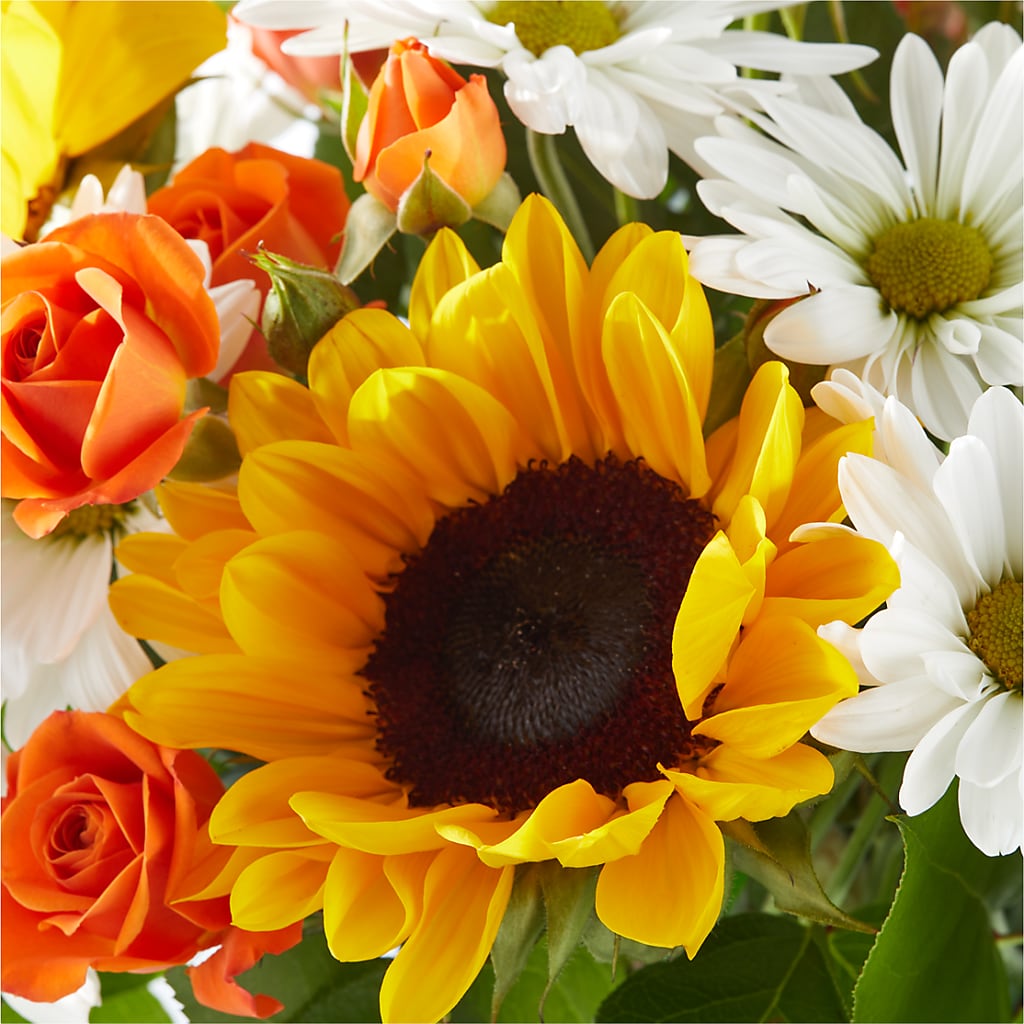 Sun-drenched Blooms Bouquet – PICKET FENCE FLORAL & DESIGN, Holland MI