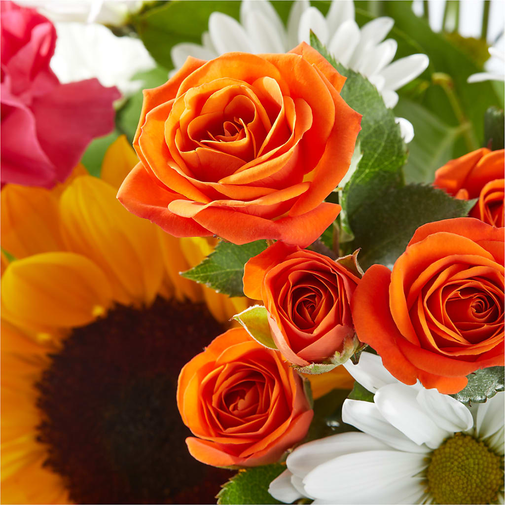Sun-drenched Blooms Bouquet – PICKET FENCE FLORAL & DESIGN, Holland MI