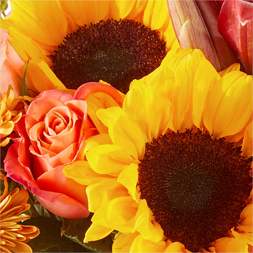 Acorn Lane Bouquet – PICKET FENCE FLORAL & DESIGN, Holland MI