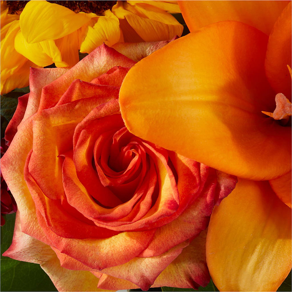 Grateful Centerpiece – PICKET FENCE FLORAL & DESIGN, Holland MI