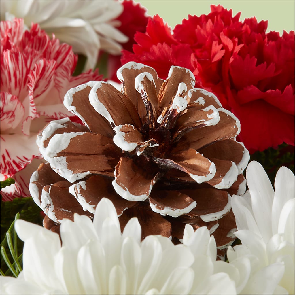 Candy Cane Lane Bouquet – PICKET FENCE FLORAL & DESIGN, Holland MI
