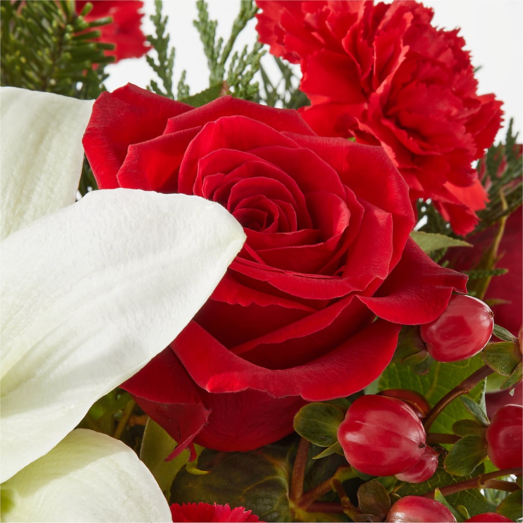 Oh So Jolly Bouquet – PICKET FENCE FLORAL & DESIGN, Holland MI