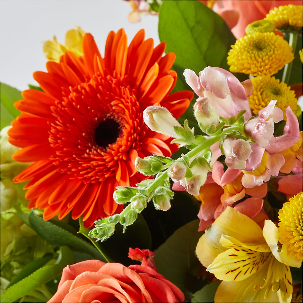 Autumn Sunshine Bouquet – PICKET FENCE FLORAL & DESIGN, Holland MI