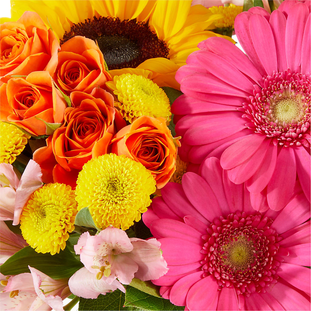 Beach Day Bouquet – PICKET FENCE FLORAL & DESIGN, Holland MI