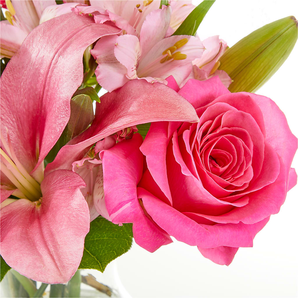Lots of Love Bouquet – PICKET FENCE FLORAL & DESIGN, Holland MI