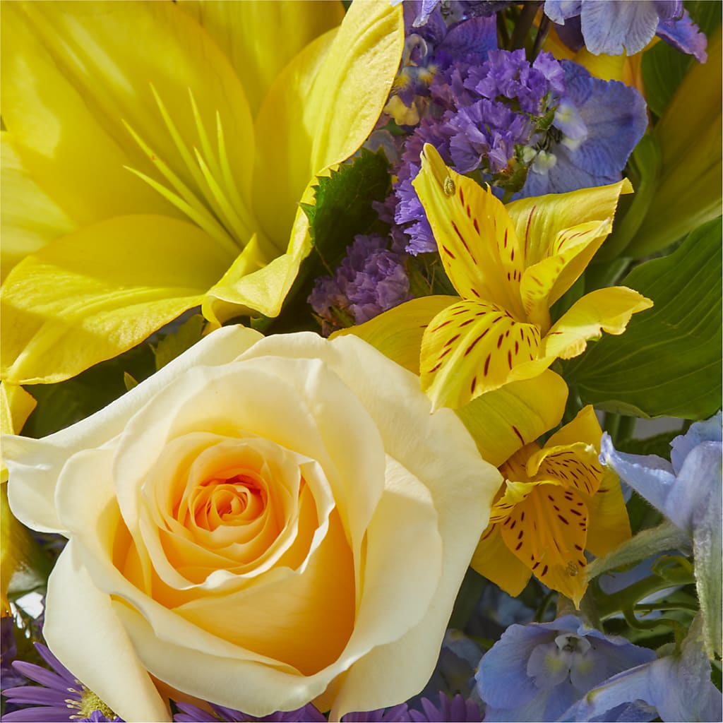 Limoncello Bouquet – PICKET FENCE FLORAL & DESIGN, Holland MI