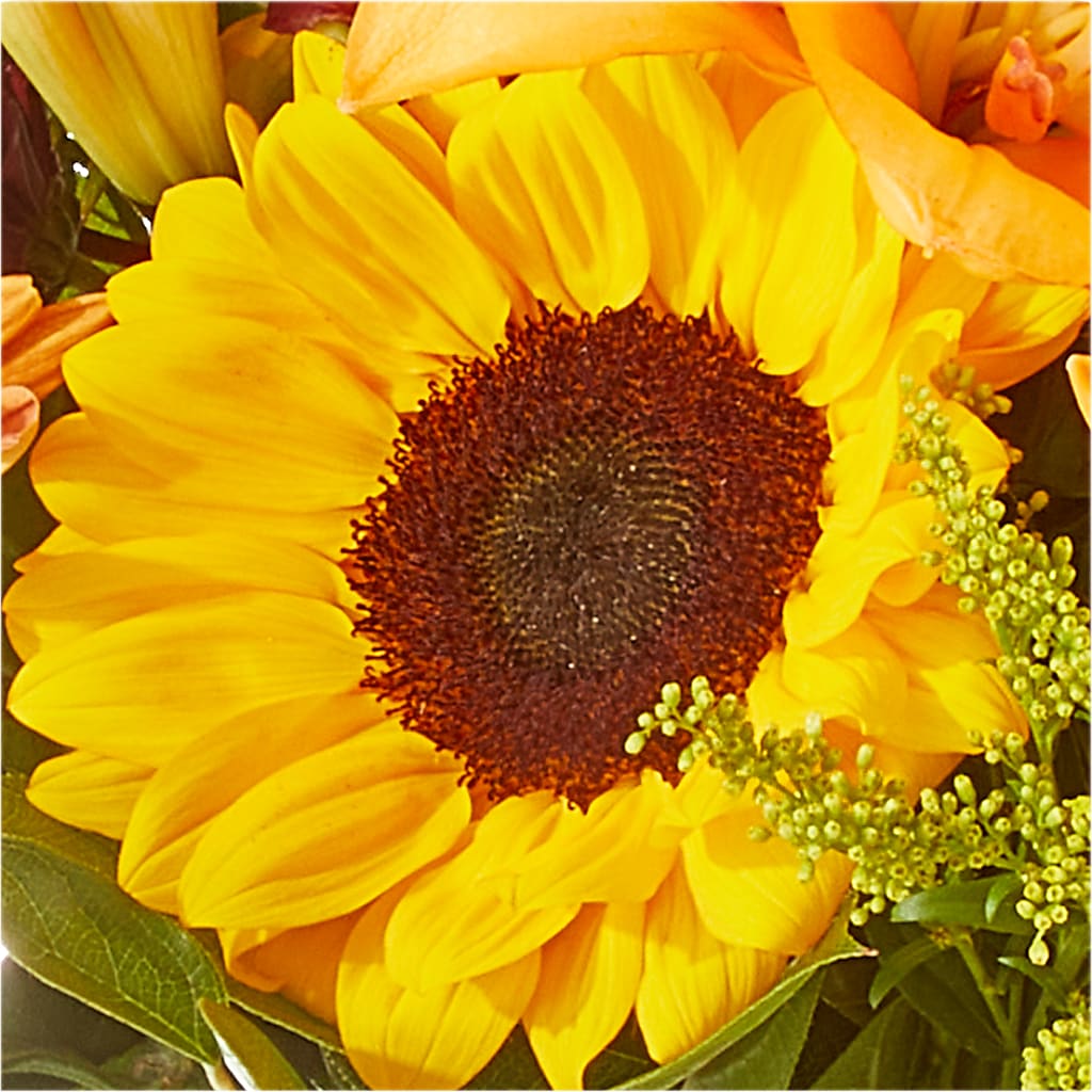 Seasons Change Bouquet – PICKET FENCE FLORAL & DESIGN, Holland MI