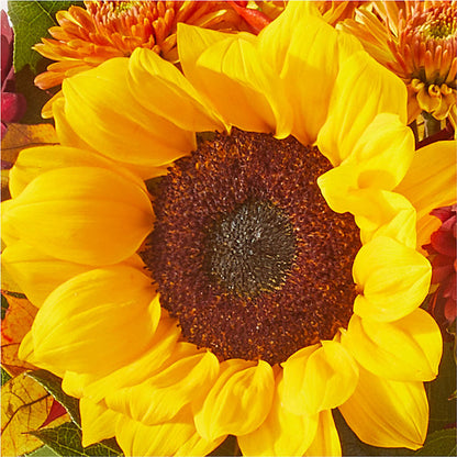 Sunny Side Bouquet – PICKET FENCE FLORAL & DESIGN, Holland MI