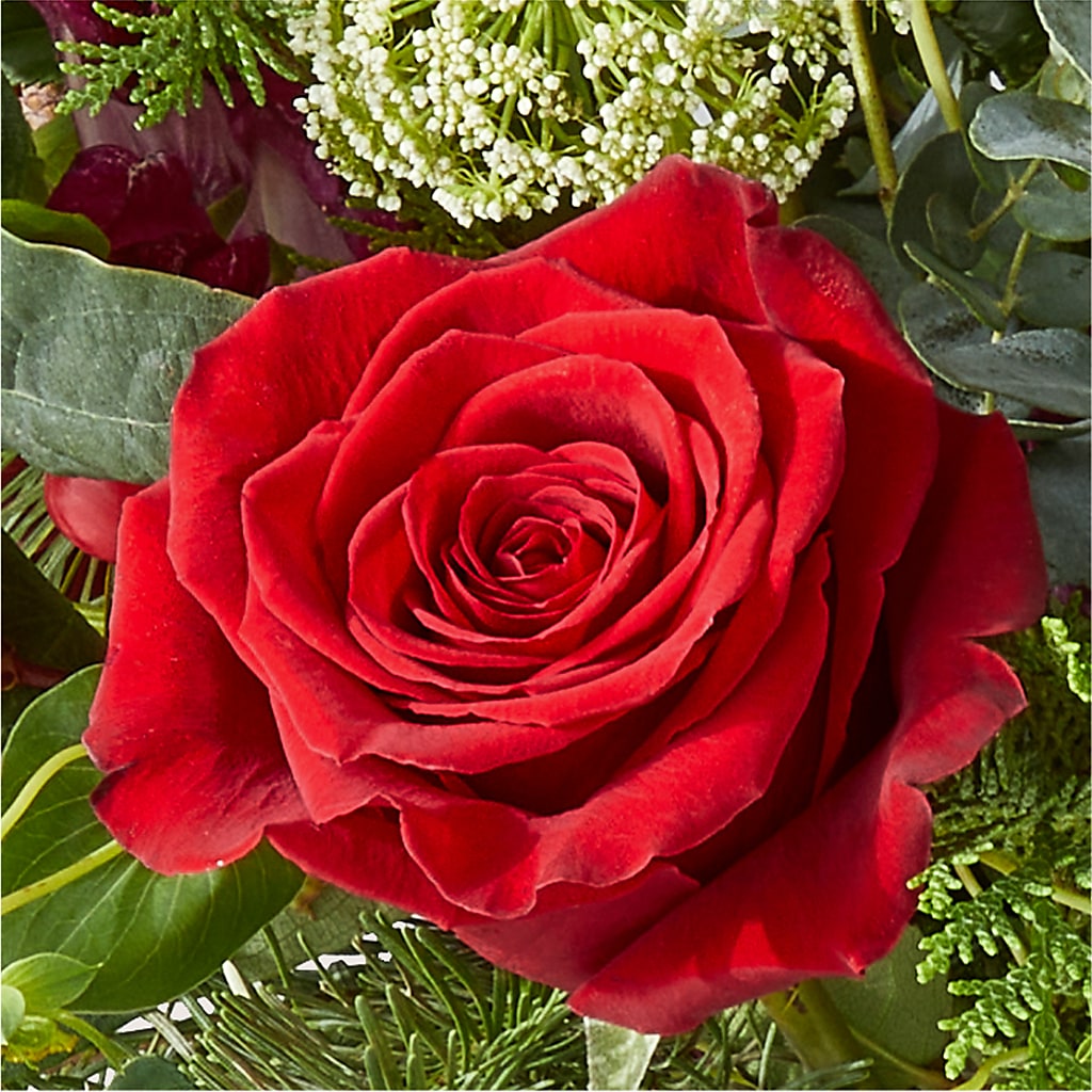 Cranberry Fizz Bouquet – PICKET FENCE FLORAL & DESIGN, Holland MI