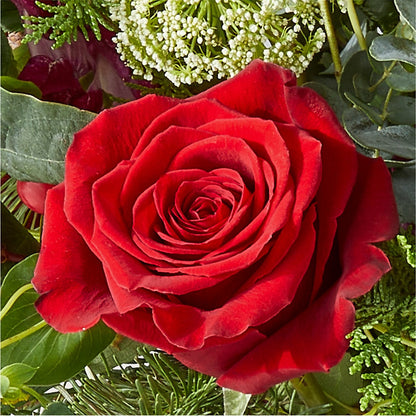 Cranberry Fizz Bouquet – PICKET FENCE FLORAL & DESIGN, Holland MI