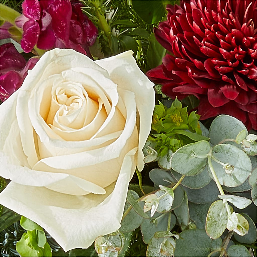 Cranberry Fizz Bouquet – PICKET FENCE FLORAL & DESIGN, Holland MI