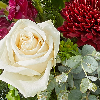 Cranberry Fizz Bouquet – PICKET FENCE FLORAL & DESIGN, Holland MI
