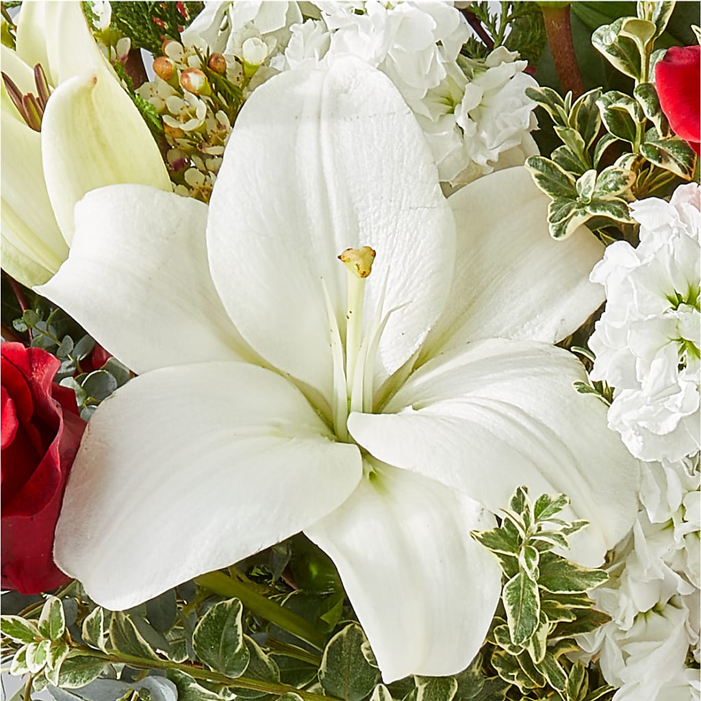 Twinkle Lights Bouquet – PICKET FENCE FLORAL & DESIGN, Holland MI