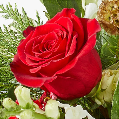 Deck the Halls Bouquet – PICKET FENCE FLORAL & DESIGN, Holland MI