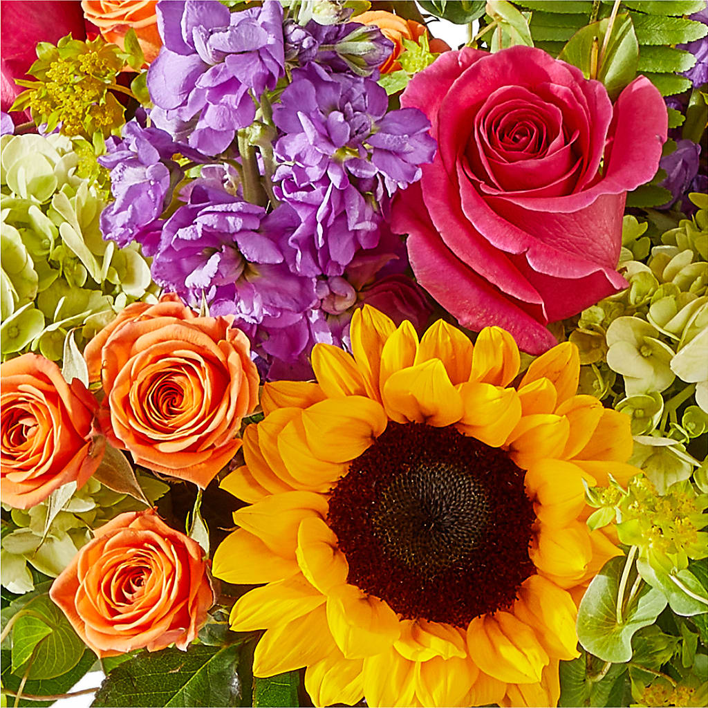 Vibrant Greetings Bouquet – PICKET FENCE FLORAL & DESIGN, Holland MI