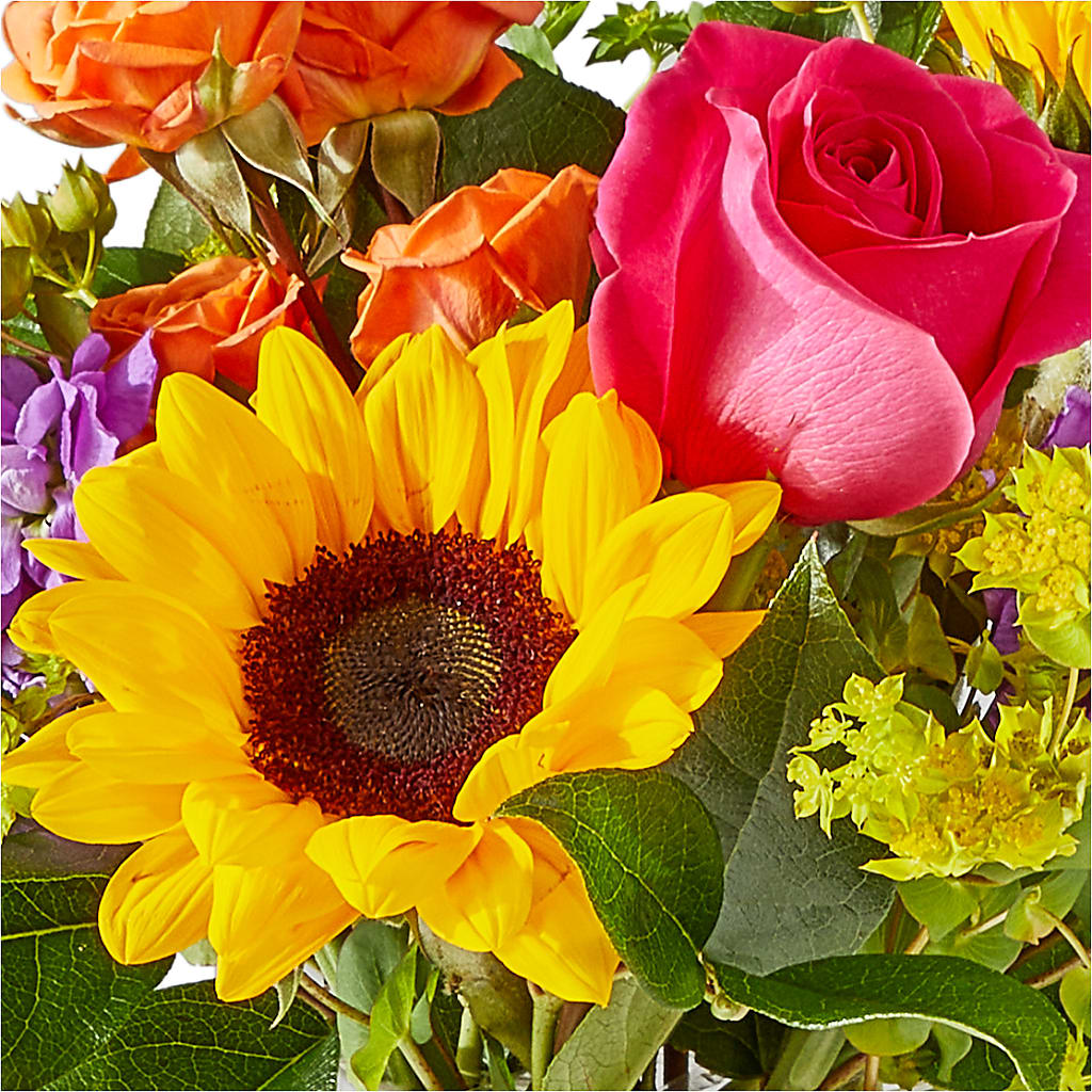 Vibrant Greetings Bouquet – PICKET FENCE FLORAL & DESIGN, Holland MI