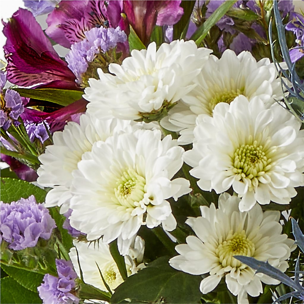 Shooting Star Bouquet – PICKET FENCE FLORAL & DESIGN, Holland MI
