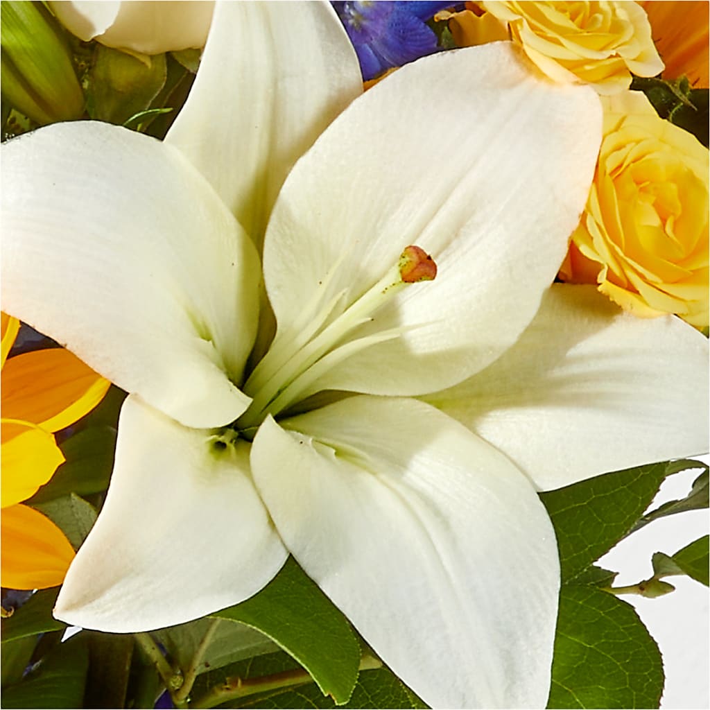 Wonderfully Sunny Bouquet – PICKET FENCE FLORAL & DESIGN, Holland MI