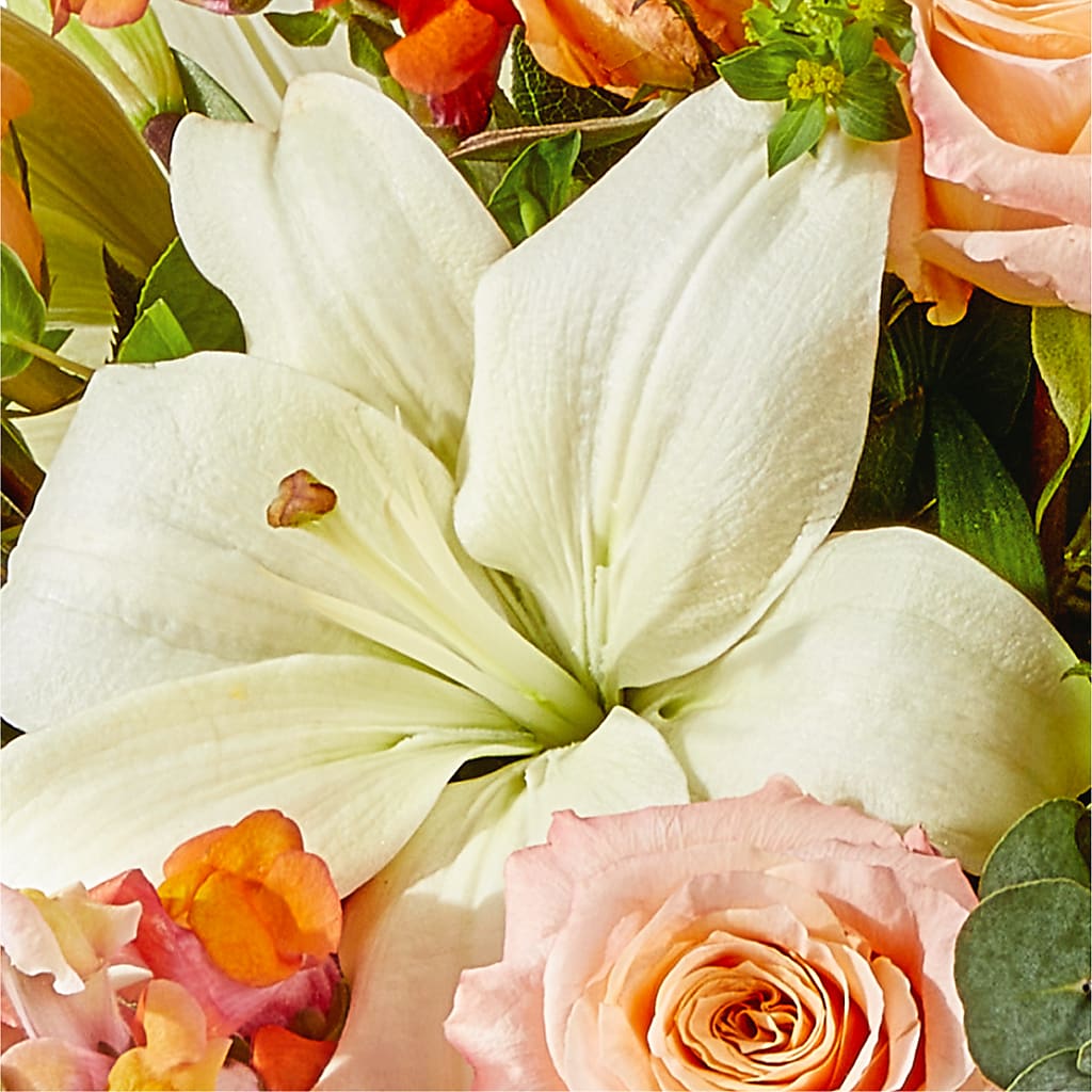 Grapefruit Splash Bouquet – PICKET FENCE FLORAL & DESIGN, Holland MI